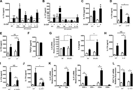 Figure 2. G-CSF–induced IL-17A secretion is independent of Th1/Th2 cytokines and IL-21 dependent. (A) IL-17A and (B) IL-17F in culture supernatants generated by splenocytes from naive or G-CSF–mobilized WT or respective knockout B6 mice stimulated with CD3 for 72 hours. (C) IL-17A in culture supernatants generated by splenocytes from naive or G-CSF–mobilized WT or BALB/c.IL-4−/− mice stimulated with CD3 for 72 hours. Splenocytes from individual animals were cultured separately (n = 3-7 individual animals/condition pooled from 2 or 3 replicate experiments). Data represent mean ± SEM. *P < .05, **P < .01, naive vs G-CSF–treated. (D-E) IL-17A in culture supernatants generated by splenocytes from naive or G-CSF–mobilized (D) WT, Jα18−/− or (E) γδ−/− B6 mice (n = 5-10 per group from replicate experiments) stimulated with CD3 for 72 hours. NS indicates not significant. (F) TGF-β1 in culture supernatants generated by splenocytes from naive or G-CSF–mobilized BALB/c.WT mice stimulated with CD3 for 72 hours. (G) Real-time polymerase chain reaction (PCR) analysis of IL-6 mRNA expression (left) by nonstimulated splenocytes from naive or G-CSF–treated B6 or BALB/c mice. Data represent pooled data from duplicate experiments with n = 3 or 4 mice/group. IL-6 protein secretion (right) by splenocytes stimulated with CD3 for 72 hours from naive or G-CSF–treated B6 or BALB/c mice. Histogram represents pooled data (n = 9-11 individual animals/condition) from 3 replicate experiments. *P < .05, **P < .01, ***P < .001 for marked groups. (H) IL-17A in culture supernatants generated by splenocytes from naive or G-CSF–mobilized WT, IL-6−/− or (I) IL-12/23p40−/− or (J) B6.IL-21R−/− mice stimulated with CD3 for 72 hours. Histograms represent combined data (n = 7-10 individual animals/condition) pooled from replicate experiments. (K) Real-time PCR analysis of IL-21 mRNA expression in freshly isolated splenocytes (T0) or those cultured for 24 hours with CD3 (T24) from naive (white bars) or G-CSF–treated (black bars) B6 mice. Splenocytes from individual animals were cultured separately. (Left graph) Combined data (n = 3 or 4 individual animals/condition) from replicate experiments. (Right graph) IL-21 mRNA expression levels in FACS-sorted cell subsets from T24 cultures represented as combined data (n = 3-6 individual animals/condition) from replicate experiments. Data are mean ± SEM. (L) Real-time PCR analysis of IL-21 mRNA expression in splenocytes cultured for 24 hours with CD3 from WT or IL-17A−/− donors. Combined data (n = 4 or 5 individual animals/condition) from replicate experiments.