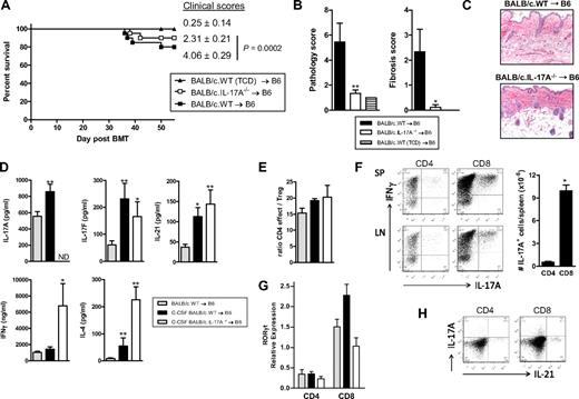 Figure 5. IL-17A is generated predominantly from donor CD8 T cells after transplantation. (A) Survival by Kaplan-Meier analysis of lethally irradiated B6 recipients (n = 20 per group) transplanted with bone marrow and purified splenic T cells from nonmobilized BALB/c.WT or BALB/c.IL-17A−/− donors. A non-GVHD control group received TCD bone marrow only (n = 7). Data combined from 2 replicate experiments. Final clinical scores from week 7 after BMT are also shown. (B) Semiquantitative histopathology of skin 7 weeks after BMT (n = 9 per GVHD group and n = 2 in TCD group). **P < .01, P < .05, WT vs IL-17A−/−. (C) Representative histopathology at week 7 after BMT (original magnification ×200). (D) Lethally irradiated B6 recipients received nonmobilized WT splenocytes or G-CSF–mobilized splenocytes from WT or IL-17A−/− BALB/c donors (n = 5-14 per group). Seven days after SCT, splenic T cells were stimulated for 12 hours with CD3 and cytokine levels determined in culture supernatants. **P < .01, *P < .05, G-CSF–mobilized WT and IL-17A−/− vs nonmobilized. ND indicates not detected. (E) Ratio of effector (CD4+FoxP3neg) to regulatory (CD4+FoxP3+) T cells in spleen of respective B6 recipients of BALB/c grafts. (F) Representative plots of IL-17A and IFN-γ secretion in splenic (SP) and inguinal lymph node (LN) cells 7 days after SCT. (Right) The number of respective cytokine-producing CD4 and CD8 T cells per spleen (n = 4 per group, one of 3 experiments). *P < .05, CD8 vs CD4. (G) Relative expression of RORγt in sort-purified donor CD4 and CD8 T cells 7 days after SCT (n = 5 per group). (H) Representative plots of IL-17A and IL-21 secretion in splenic CD4 and CD8 T cells 7 days after SCT.