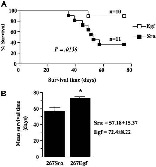 Figure 5. EGF expression decrease thymic lymphoma growth. (A) Survival analysis of 5- to 6-week-old syngeneic C57BL/6 mice injected intrathymically with 5 × 103 per lobe of lymphoma cell transfectants (□) or controls (■). Lymphoma growth is restricted to the thymus after intrathymic injection and does not metastasize to peripheral organ. When clinical signs of thymic lymphoma became evident (runting, swelling of the thorax, and dyspnea), mice were killed, and thymic lymphoma was confirmed and collected at necropsy. (B) Histogram showing the mean survival times (MSTs) of mice after intrathymic injection of lymphoma cell transfectants or controls. Data are representative of 2 independent experiments with several different clones expressing EGF and controls. Bars represent SD; *P ≤ .05.