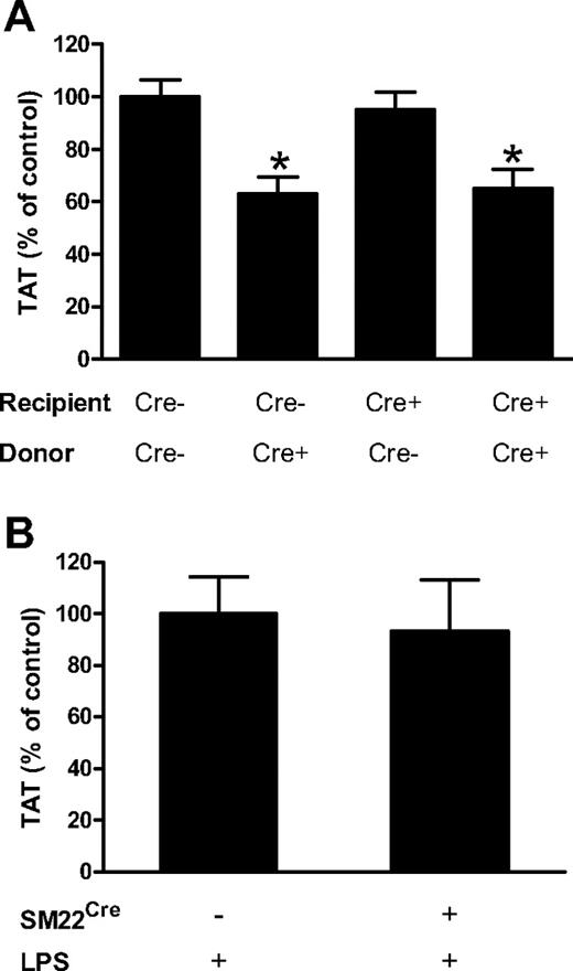 Figure 6. Deletion of the TF gene in ECs or VSMCs has no effect on activation of coagulation. (A) Plasma TAT levels were analyzed 8 hours after LPS injection in TFflox/flox transplanted with TFflox/flox bone marrow (n = 18, mean ± SEM 35.9 ± 2.3 ng/mL), TFflox/flox transplanted with TFflox/flox,Tie-2Cre bone marrow (n = 12, mean ± SEM 22.7 ± 2.3 ng/mL), TFflox/flox,Tie-2Cre transplanted with TFflox/flox bone marrow (n = 13, mean ± SEM 34.1 ± 2.5 ng/mL) and TFflox/flox,Tie-2Cre transplanted with TFflox/flox,Tie-2Cre bone marrow (n = 13, mean ± SEM 23.4 ± 2.6 ng/mL). (B) Plasma TAT levels were analyzed 8 hours after LPS injection in TFflox/flox (n = 17; mean ± SEM 24.5 ± 3.5 ng/mL) and TFflox/flox,SM22Cre (n = 19; mean ± SEM 22.9 ± 3.4 ng/mL). In panel A the presence or absence of Cre recombinase in recipient and donor mice is indicated by Cre+ and Cre−. *P < .05 compared with control group expressing normal levels of TF (first bar in panel A).