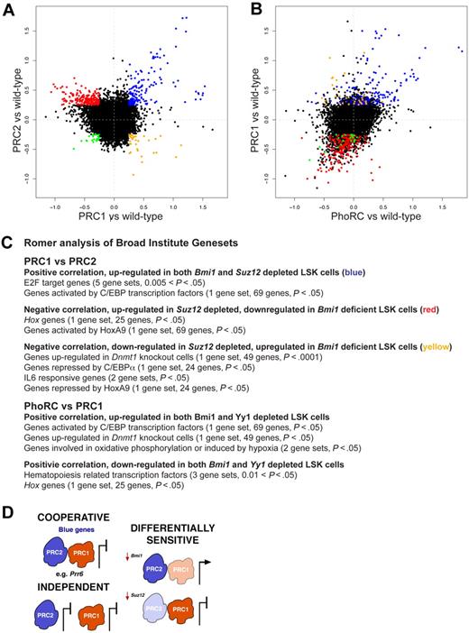 Figure 4. PRC1, PRC2, and PhoRC control different gene sets in HSC/progenitors. (A-B) Log2-fold changes for 7824 differentially expressed Illumina expression array probes in fetal liver LSK cells, comparing Bmi1−/− and Bmi1+/+ (PRC1 vs wild-type), Suz12Plt8/+ and Suz12+/+ (PRC2 vs wild-type), and Yy1+/− and Yy1+/+ (PhoRC vs wild-type). Probes (blue) in panel A are the same as probes (blue) in panel B, and similarly for those colors shown (red, yellow, or green). (C) Romer analysis of gene expression comparisons shown in panel A. Broad Institute gene sets that are enriched in particular comparisons are listed (in supplemental material for full analysis). (D) Image showing the multifaceted regulation of gene expression by PRCs. PRC1, and PRC2 may bind some targets cooperatively to repress expression; these genes are named blue genes shown in panel A. PRC2 and PRC1 may act independently at some loci, and other loci may be differentially sensitive to depletion of PRC1 (eg, Bmi1) or PRC2 (eg, Suz12).