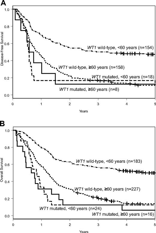Figure 1. Outcomes of patients with CN-AML according to WT1 mutation status. DFS (A) and OS (B) of patients aged 60 years or older and of those younger than 60 years according to WT1 mutation status.