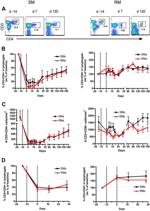 Figure 1. CD4+ T-cell reconstitution after Ab-mediated CD4+ lymphocyte depletion in nonhuman primates. Peripheral blood (PB)– and lymph node (LN)–derived mononuclear cells were obtained from healthy SIV-uninfected sooty mangabeys (SMs) and rhesus macaques (RMs). (A) Flow cytometric staining of CD3+CD4+ T cells in PB of a representative SM (left panels) and RM (right panels) as measured before and at days 7 and 120 after Ab-mediated CD4+ lymphocyte depletion. (B) Fraction of CD3+CD4+ (left graph) and CD3+CD8+ (right graph) T cells, expressed as percentage variation from baseline, in the PB of SMs and RMs after CD4+ lymphocyte depletion. (C) Absolute number of CD3+CD4+ (left graph) and CD3+CD8+ (right graph) T cells in the PB of SMs and RMs after CD4+ lymphocyte depletion. (D) Fraction of CD3+CD4+ (left graph) and CD3+CD8+ (right graph) T cells, expressed as percentage variation from baseline, in the LN of SMs and RMs after CD4+ lymphocyte depletion. Values in panels B through D are means ± SD. SMs and RMs are shown as black squares and red triangles, respectively, and the dotted lines indicate the timing of anti-CD4 monoclonal antibody administrations.