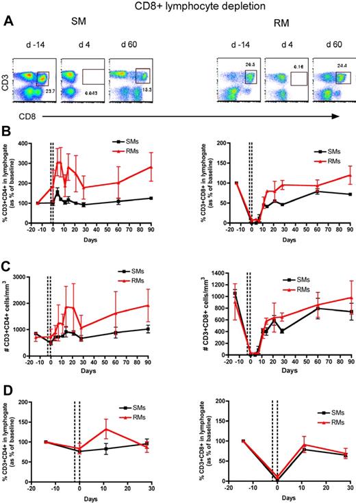 Figure 2. CD8+ T-cell reconstitution after Ab-mediated CD8+ lymphocyte depletion in nonhuman primates. PB- and LN-derived mononuclear cells were obtained from healthy SIV-uninfected SMs and RMs. (A) Flow cytometric staining of CD3+CD8+ T cells in PB of a representative SM (left panels) and RM (right panels) before and at days 4 and 60 after Ab-mediated CD8+ lymphocyte depletion. (B) Fraction of CD3+CD4+ (left graph) and CD3+CD8+ (right graph) T cells, expressed as percentage variation from baseline, in the PB of SMs and RMs after CD8+ lymphocyte depletion. (C) Absolute number of CD3+CD4+ (left graph) and CD3+CD8+ (right graph) T cells in the PB of SMs and RMs after CD8+ lymphocyte depletion. (D) Fraction of CD3+CD4+ (left graph) and CD3+CD8+ (right graph) T cells, expressed as percentage variation from baseline, in the LN of SMs and RMs after CD8+ lymphocyte depletion. Values in panels B through D are means ± SD, SMs and RMs are shown as black squares and red triangles, respectively, and the dotted lines indicate the timing of anti-CD8 monoclonal antibody administrations.
