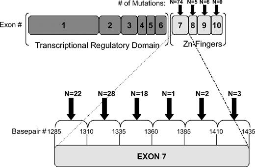 Figure 1. Location of WT1 zinc-finger mutations. Graphical depiction of the 85 mutations detected in 70 of 842 pediatric patients with AML screened. Mutations clustered in the N-terminal portion of exon 7 but were also detected in exons 8 and 9.