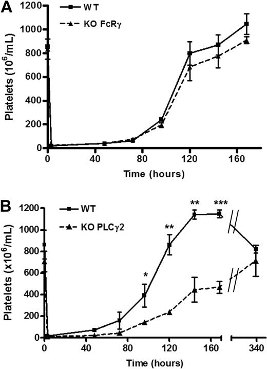 Figure 7. Platelet formation is regulated by PLCγ2 but not FcRγ-chain. Whole blood platelet counts from (A) WT (solid line) or FcRγ KO (dashed line) mice and (B) WT (solid line) or PLCγ2 KO (dashed line) were obtained before immune-induced thrombocytopenia (time point 0, n = 4), followed by an intraperitoneal injection of anti-mouse GPIbα antibody (2 μg/g of mouse weight). Platelet counts were then measured at indicated times (n = 4 for each time points). Error bars represent SEM. *P < .05; **P < .01; ***P < .005.
