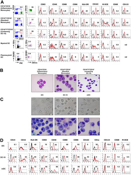 Figure 1. DC-10 are present in peripheral blood and can be differentiated in vitro from peripheral monocytes. (A) Expression levels of CD11b, CD11c, CD14, CD16, CD40, CD68, CD80, CD83, CD86, HLA-DR, CD115, CD163, and M-DC8 in gated CD14+CD16− cells (inflammatory monocytes), CD14lowCD16+ cells (resident monocytes), CD14brightCD16+ cells (containing DC-10), myDCs (CD1c+CD11c+), and pDCs (CD11c−CD303+) in peripheral blood were evaluated by FACS analysis. Black histograms represent staining with the isotype-matched control mAbs. A representative donor of 10 independent donors analyzed is presented. Percentages of CD14+CD16−, CD14lowCD16+, CD14brightCD16+, CD1c+CD11c+, CD303+CD11c− cells in total peripheral blood mononuclear cells, and percentages of CD14+CD16−, CD14lowCD16+, CD14brightCD16+, CD1c+CD11c+, CD303+CD11c− cells expressing the indicated markers are indicated. (B) Morphology (May-Grünwald-Giemsa staining) of CD14+CD16− cells (inflammatory monocytes), CD14lowCD16+ cells (resident monocytes), CD14brightCD16+ cells (containing DC-10) FACS-sorted from peripheral blood. Results from one representative donor of 2 tested is shown. (C) Monocyte-derived DCs were differentiated in IL-4 and GM-CSF in the presence of IL-10 for 7 days (DC-10), or in IL-4 and GM-CSF for 7 days (iDC), or in IL-4 and GM-CSF for 5 days and activated for additional 2 days with LPS (mDC). Morphology of DCs was evaluated by light microscopy and by May-Grünwald-Giemsa staining. Results from one representative donor of 5 tested is shown. Image information: Nikon Eclipse TE200 microscope; magnification 40×/0.55; cover slides were mounted using DXP (water free mounting medium); Nikon DXM1200 camera; Nikon ACT-1 Version 2.63 and PowerPoint software. (D) Expression of CD14, CD16, HLA-DR, CD40, CD83, CD80, CD86, CD163, CD1a, CD115, CD68, and M-DC8 was evaluated by FACS analysis. A representative donor of at least 15 tested is presented.