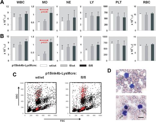 Figure 2. Nonreactive monocytosis in p15Ink4bfl/fl-LysMcre mice. Blood cell counts in p15Ink4bwt/wt-LysMcre mice (wt/wt, n = 5), in p15Ink4bfl/wt-LysMcre mice (fl/wt, n = 5), and in p15Ink4bfl/fl-LysMcre mice (fl/fl, n = 6) at 5 to 7 months (A) and 8 to 10 months (B). WBC indicates white blood cells; MO, monocytes; NE, neutrophils; LY, lymphocytes; PLT, platelets; and RBC, red blood cells. Data are mean ± SD (error bars) for cell concentrations. P values were calculated using the Student t test and only shown where statistically significant. (C) Representative flow cytometric analysis of PB nucleated cells. Monocytes (Gr-1−/lo/Mac-1+) are highlighted in red. (D) May-Grunewald-Giemsa staining of PB from p15Ink4fl/fl-LysMcre mice with nonreactive monocytosis confirmed increased numbers of mature and maturing mononuclear cells. Scale bar represents 10 μm