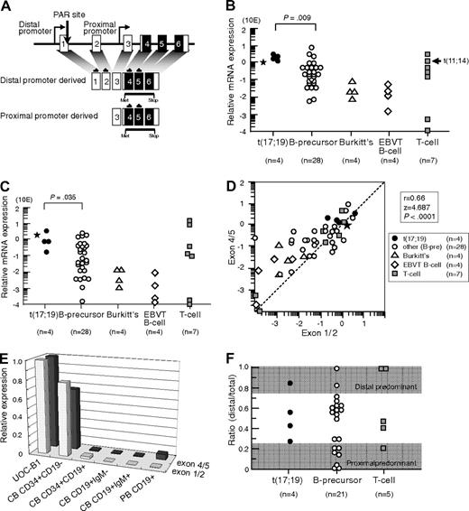 Figure 1. LMO2 gene expression in t(17;19)-ALL. (A) Schematic representation of 2 LMO2 gene promoters and primers for real-time RT-PCR analysis. Primers directed toward exons 1 and 2 specifically detect transcripts derived from the distal promoter, and those directed toward exons 4 and 5 detect transcripts derived from both the distal and proximal promoters. (B) Relative LMO2 gene expression determined by real-time RT-PCR using the primers for exons 4 and 5. Arrow indicates T-ALL cell line with t(11;14), and asterisk indicates the level of LMO2 transcripts in a primary leukemia sample from the patient with t(17;19)-ALL. The P value determined by Mann-Whitney test is indicated. (C) Relative LMO2 gene expression determined by real-time RT-PCR using the primers for exons 1 and 2. (D) Correlation between the levels of LMO2 transcripts quantified by the primers for exons 4 and 5 (vertical axis) and those for exons 1 and 2 (horizontal axis). (E) LMO2 gene expression in CD34+/CD19−, CD34+/CD19+, CD19+/IgM−, and CD19+/IgM+ populations of cord blood mononuclear cells (MNCs) and CD19+ population of peripheral blood MNCs. Relative LMO2 gene expression was determined by real-time RT-PCR using UOC-B1 as a control with the primers for exons 1 and 2 and the primers for exons 4 and 5. The gene expression level of β-actin was used as an internal control. SE of triplicated samples was always less than 10%. (F) Ratio of LMO2 gene expression derived from the distal promoter to total LMO2 gene expression in ALL cell lines. LMO2 gene expression in the cell lines that expressed a total LMO2 gene level of at least 10 times lower than that in UOC-B1 was semiquantifiedby real-time PCR with the specific primers for LMO2 transcripts sourced at the distal promoter and for total LMO2 transcripts. The dark areas indicate a proximal promoter-predominant pattern (ratio < 0.25) or a distal promoter-predominant pattern (ratio > 0.75).