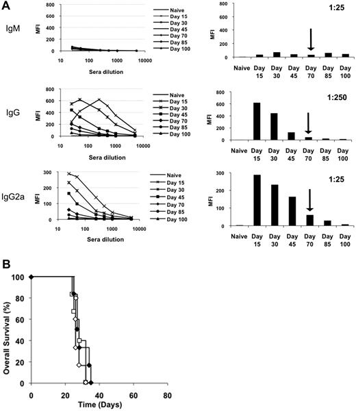 Figure 3. Analysis of the endogenous antibody response against tumor cells and passive immunity transfer in vivo. (A) IgM, IgG, and IgG2a binding to EL4-huCD20 cells was analyzed by indirect immunofluorescence assay with sera from CAT-13–treated and naive animals. Mean fluorescence intensities (MFI) are shown. Black arrows indicate the time of tumor challenge (day 70). (B) Naive recipient mice were intravenously injected on day −1 with either pooled sera from untreated mice (sera from day 20 after intravenous injection of EL4-huCD20 cells; ◇, n = 6) or pooled sera from surviving CAT-13–treated mice (sera from day 90, 20 days after intravenous tumor challenge; ♦ n = 6). Recipient mice subsequently had intravenous injections on day 0 of 5 × 105 EL4-huCD20 cells. Untreated mice (□, n = 6) were used as controls (log-rank analysis, not significant).