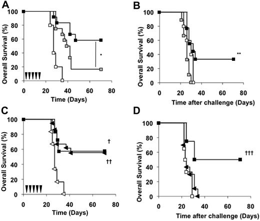 Figure 5. CD4+ and CD8+ cells are required for the CAT-13–induced antitumor protection in vivo. (A) Naive mice were depleted of CD4+ cells by intraperitoneal injections of the anti-CD4 mAb GK1.5 starting on day −1. Both depleted (, n = 12) and nondepleted control mice (■, n = 12) were then injected with 5 × 105 EL4-huCD20 cells on day 0 and then received CAT-13 mAb therapy. Untreated mice (□, n = 6) were also used as controls (log-rank analysis, *P = .01). (B) Surviving CAT-13–treated mice received intraperitoneal injections of GK1.5 mAb starting on day 69 (, n = 9) or not (■, n = 9) and were intravenously challenged with 5 × 105 EL4-huCD20 cells on day 70. Untreated mice (□, n = 5) were used as controls (log-rank analysis, **P = .005). (C) Wild-type (n = 7) and CD8 KO C57Bl/6 mice (n = 18) were intravenously injected on day 0 with 5 × 105 EL4-huCD20 cells. Wild-type animals received the CAT-13 mAb therapy (□, n = 7). CD8 KO mice were divided into 2 groups. The first group was left untreated and used as a control (▷, n = 6). The second group of CD8 KO mice received the CAT-13 mAb therapy (◀, n = 18; log-rank analysis, †P = .01; ††P < .001). (D) Both wt (■, n = 4) and CD8 KO (◀, n = 10) surviving CAT-13–treated animals were intravenously challenged with 5 × 105 EL4-huCD20 cells on day 70. Untreated mice (□, n = 6) were used as controls (log-rank analysis, †††P = .02). Black arrows indicate CAT-13 mAb injections.
