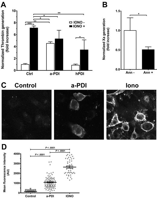 Figure 4. Surface PDI inhibition induces PS exposure on ECs. (A) Ea.hy926 cells were treated with BD34 anti-PDI or isotype control (10 μg/mL), or 100nM hPDI for 30 minutes and/or ionomycin (Iono, 5μM) for 10 minutes before addition of FXa, FVa, and prothrombin substrate. Normalized thrombin generation after 10 minutes, measured in a chromogenic assay, is represented as fold increase over control samples. Data are mean ± SD of triplicates. ***P < .001, 1-way ANOVA. (B) PDI inhibition-induced enhancement of TF procoagulant activity is sensitive to annexin V treatment (P = .033, unpaired t test). (C) Representative micrographs of annexin V–FITC labeling of PS exposure on EA.hy926 cells treated with IgG1k isotype control, BD34 anti-PDI, or ionomycin. (D) Scatter plot representation of MFI and statistical analysis (1-way ANOVA) of annexin V–FITC labeling of PS exposure (n ≥ 50 per group).