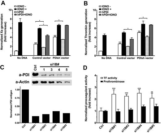 Figure 5. PDI silencing affects procoagulant activities on ECs. (A) Analysis of basal and ionomycin-decrypted TF procoagulant activity in response to transient PDI silencing and/or exogenous hPDI addition. TF activity is normalized to TF antigen and represented as fold increase over nontransfected ECs. (B) Analysis of basal and ionomycin-enhanced prothrombinase activity in response to transient PDI silencing and/or exogenous hPDI addition. The prothrombinase activity is normalized to the total protein content and represented as fold increase over nontransfected ECs. (C) Representative Western blot and densitometric analysis of PDI in puromycin-selected PDI shRNA-tranfected TF-EC lines. (D) Comparative analysis of basal TF procoagulant activity (open bars) and prothrombinase activity (solid bars) of PDI shRNA-transfected TF-EC cell lines shown in panel C. Procoagulant activities were normalized to nontransfected TF-ECs. (A-B,D) Data are mean ± SD of triplicates. Statistical analysis was performed by 1-way ANOVA: *P < .05, **P < .01, ***P < .001.