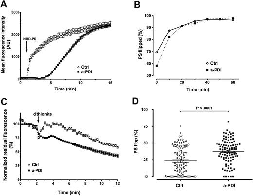Figure 7. Surface PDI inhibition affects PS dynamics in ECs. (A) Time-lapse imaging analysis of NBD-PS uptake in ECs. Pretreatment with BD34 anti-PDI (■) delayed the NBD-PS uptake compared with isotype control IgG (◇). The arrow indicates the addition of NBD-PS. Data are mean ± SEM of approximately 20 cells. (B) Flow cytometric analysis of the apparent flippase activity on EA.hy926 cells pretreated with the inhibitory BD34 anti-PDI (■) or isotype control (◇), using NBD-PS and the impermeant quencher sodium dithionite. The internalized PS is represented as the percentile dithionite-resistant NBD-PS fluorescence from total NBD-PS fluorescence. Data are mean ± SEM of more than or equal to 10 000 gated events. (C) Time-lapse imaging analysis of NBD-PS efflux in ECs. Pretreatment of ECs with inhibitory BD34 anti-PDI mAb (■) resulted in accelerated PS efflux and faster dithionite quenching compared with isotype-treated ECs (◇). Data are mean ± SEM of 20 cells corrected for bleaching and normalized against the total NBD-PS fluorescence in the absence of dithionite. (D) Scatter plot representation of NBD-PS efflux in ECs. PDI inhibited (■) or control (◇) ECs were exposed to the impermeant sodium dithionite quencher for 30 minutes, and the PS flop is represented by the difference between the total NBD-PS fluorescence in the absence of dithionite and the residual, dithionite-resistant NBD-PS fluorescence. Statistical analysis was performed by the unpaired t test.