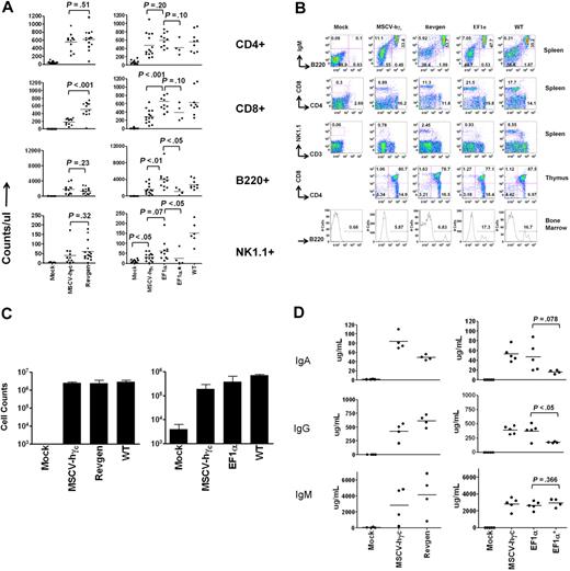 Figure 2. Ex vivo gene therapy of an SCID-X1 mouse model with either the Revgen vector or the EF1α vector potently restores lymphocyte development. (A) Counts of peripheral blood lymphocyte subpopulations (CD4+ or CD8+ T lymphocytes and B220+ B lymphocytes) and natural killer (NK1.1+) cells at 18 weeks after transplantation. The Revgen vector and the EF1α vector were evaluated in 2 separate transplantation experiments with their own negative mock and positive MSCV-hγc vector controls (experiment 1 on the left and experiment 2 on the right). Each dot represents data from a single mouse. EF1α* indicates 4 of 10 mice transplanted with cells transduced with the EF1α vector at a lower MOI of 3.3 showed significant reconstitution; and WT, data from nontransplanted wild-type C57BL/6J mice to serve as reference. (B) Relative proportions (percentage) of lymphoid subpopulations in spleen, bone marrow, and thymus of transplanted mice analyzed at 21 weeks. (C) Proliferation of peripheral blood T lymphocytes taken from recipient mice at 14 weeks in response to concanavalin A and interleukin-2 stimulation. The number of cells was counted on day 6 for the left panel (n = 3 for WT, n = 4 for the other groups) and on day 5 for the right panel (n = 3 for WT, n = 5 for other groups). (D) Plasma immunoglobulin levels of recipient mice at 14 weeks after transplantation. Each dot represents data for a single mouse. The 3 panels on the left and the 3 panels on the right represent data from transplantation experiments 1 and 2, respectively. P values were obtained by t test.