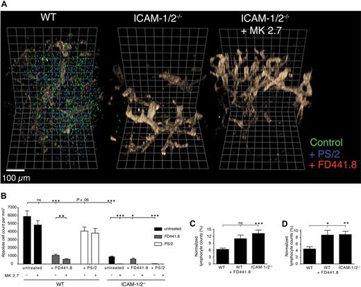 Figure 5. 3-dimensional quantitative immunofluorescence (3DQIF) of lymphocyte homing in the absence of ICAM-1, ICAM-2 and VCAM-1 during lymphocyte trafficking. (A) Representative 3D reconstructions of WT, ICAM-1/2−/−, and ICAM-1/2−/− + anti–VCAM-1 mAb (MK2.7) PLNs after adoptive transfer of untreated lymphocytes (green), or treated with blocking anti–α4-integrin (PS/2, blue) or anti–LFA-1 (FD441.8, red). The MECA79+ HEV network is shown in brown. One square line corresponds to 50 μm. (B) Absolute cell counts per mm3 in control and ICAM-1/2−/− PLNs in the presence of blocking mAbs. In some experiments, WT or ICAM-1/2−/− mice were pretreated with anti–VCAM-1 (MK2.7). Pooled from 5 experiments with 15 (ICAM-1/2−/−) and 16 (WT) independent scans. (C) Intravascular frequency of adoptively transferred untreated lymphocytes in WT and ICAM-1/2−/− PLNs (right bar), and FD441.8-treated lymphocytes in WT PLNs (middle bar). (D) Perivascular frequency of adoptively transferred untreated lymphocytes in WT and ICAM-1/2−/− PLNs (right bar), and FD441.8-treated lymphocytes in WT PLNs (middle bar). Total cell counts in panels C and D were normalized to 100%. Data in panels C and D are pooled from 5 independent experiments. Bars represent mean plus minus SEM. n.s. indicates not significant. *P < .05; **P < .001; ***P < .0001.