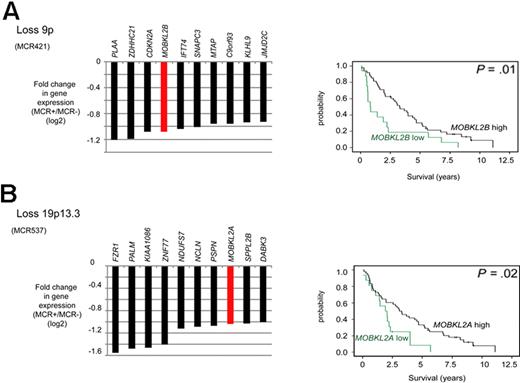 Figure 4. Candidate tumor suppressor genes involved in the Hippo signaling pathway in MCL identified by combined SNP and gene expression profiling. (A) Loss of 9p. (B) Loss of 19p13.3. Kaplan-Meier curves visualizing survival groups according to the mRNA expression determined by gene expression array analysis of MOBKL2B (PS 226844 on HG U133 plus 2.0) located in 9p21.2 and MOBKL2A (PS 235163) located in 19p13.3. For MCR537/loss19p13.3 genes located in the core and extended region are displayed.
