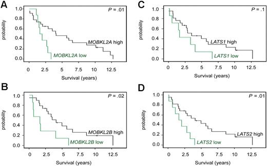 Figure 5. Kaplan-Meier curves visualizing MCL survival groups according to the mRNA expression of Hippo pathway associated genes in a validation series. mRNA expression of (A) MOBKL2A, (B) MOBKL2B, (C) LATS1, and (D) LATS2 (cutoff ≤ 25th percentile) in an independent group of 32 untreated MCL patients. Expression was determined by quantitative RT-PCR and the comparative Ct method.