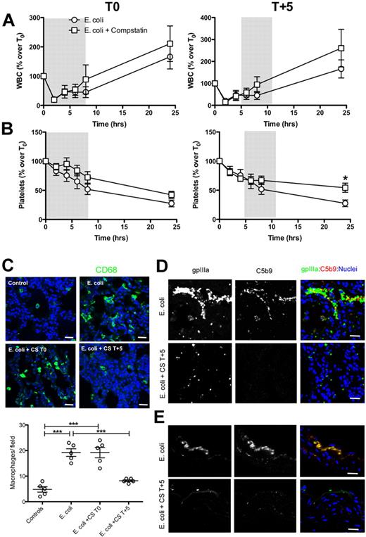 Figure 3. Effect of compstatin treatment on blood cells. Time course of WBC (A) and platelet (B) counts in the blood of baboons treated with compstatin during the first (T0) and second (T + 5) stage of experimental sepsis. Data are presented as mean ± SEM; 2-tailed Student t test; *P < .05. (C) Immunostaining and quantitation of CD68 positive macrophages in the lung of healthy controls, septic baboons (E coli), and septic baboons treated with compstatin (CS) during the first (E coli + CS T0) or the second (E coli + CS T + 5) stage. Scatter-plot data are shown as mean ± SEM; 1-way ANOVA with Dunnett multicomparison test. ***P < .001 compared with E coli group. (D-E) Immunostaining for C5b9 neo-antigen showing TCC deposition on platelets (D) or vascular endothelium (E) in the lung of septic baboons without (E coli) vs with compstatin (CS) treatment during second stage (E coli + CS T + 5). Note the absence of TCC on gpIIIa-positive platelets in compstatin-treated animals. Magnification bars for all images, 50μm.