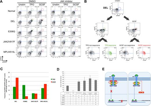 Figure 2. Identification of a cytokine-responsive pSTAT3+/pSTAT5+ population in CD34+ early progenitors from patients with LNK mutations. Peripheral blood (PB) samples from patients with the LNK DEL and E208Q mutations, as well as PMF patients with the JAK2 V617F and MPL W515L mutations, were compared with normal donor. CD3−/CD66−/CD33mid immature myeloid cells are shown in panels A through C. (A) Samples were preincubated with DMSO or JAK inhibitor I (5 μM) for 30 minutes, and then stimulated with TPO (50 ng/mL) or G-CSF (20 ng/mL) for 15 minutes, before assessment of STAT3 and STAT5 activation by phospho-specific flow cytometry. (B) CD34 and CD38 surface staining for the cytokine-responsive pSTAT3+/5+ (“responsive”) cells from DEL, in comparison to the nonresponsive cells (includes all cells other than pSTAT3+/5+ cells) is displayed. Cytokine-responsive cells are shown in green (TPO) and red (G-CSF). In panels A and B, numbers depicted in each quadrant represent the percentage of total cells present in each quadrant gate. (C) The frequency of CD34+ cytokine-responsive cells was quantified and is displayed as fold-change versus normal donor. (D) PB cells from DEL were stimulated with G-CSF, and 6 subsets were sorted by fluorescence-activated cell sorting (FACS), as defined by the surface markers and phosphorylated STAT proteins shown in the table. Not applicable (n/a) denotes surface markers that were not used to delineate that specific subset. DNA was isolated from each subset, and allele-specific quantitative PCR for the DEL mutation was performed. Allele burden for each subset is displayed. Error bars represent the SD of 3 replicates. (E) Schematic showing role of LNK in regulation of JAK-STAT signaling, and model depicting hypothetical mechanisms for LNK dysfunction is shown. (Left) Cytokine/receptor binding (eg, TPO/MPL) results in JAK-STAT activation, which then leads to recruitment of a negative feedback pathway, in which LNK binds to MPL and JAK2, thereby inhibiting downstream STAT activation. (Right) LNK mutations affecting the PH domain (depicted as a yellow line) may lead to mislocalization of LNK in the cytoplasm, thereby disrupting the ability of LNK to inhibit JAK-STAT signaling. As the dimerization domain is retained, mutant LNK forms may also sequester WT LNK, potentially resulting in a dominant-negative effect.