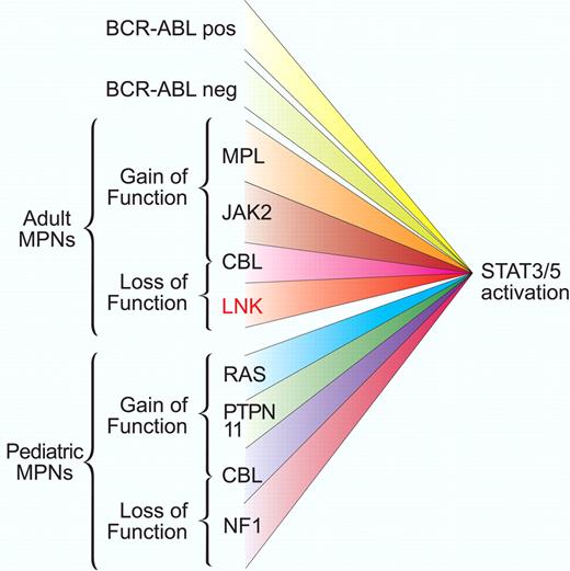 Gain-of-function and loss-of-function mutations associated with aberrant STAT activation. Adult and pediatric myeloproliferative disorders are characterized by dysregulated balance between activation and inactivation of the JAK-STAT pathway. Mutant kinase activation can occur from BCR-ABL translocation or in Philadelphia chromosome–negative patients from a short list of mutations in receptor and intracellular signaling components. Loss of negative regulator function such as Lnk, as described by Oh and colleagues,1 also facilitates JAK-STAT activation. This convergence of signaling suggests that JAK-STAT components may be good therapeutic targets for this broad class of disorders. Professional illustration by Paulette Dennis.