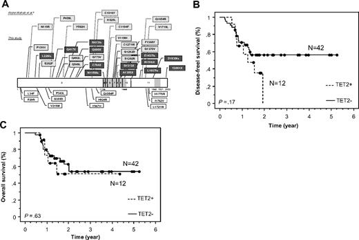 Figure 1. TET2 alterations and clinical outcome. (A) Schematic representation of the TET2 protein. The 2 conserved domains are colored in grey. TET2 mutations reported in the study by Abdel-Wahab et al8 and found in our cohort of de novo AML are represented, respectively, with broken and straight lines (dark gray background represents frameshift and nonsense mutations; light gray background, missense mutations; and white background, polymorphisms). Kaplan-Meier estimates of disease-free survival (B) and overall survival (C) according to TET2 mutational status in cytogenetically normal AML patients (N = 54, 3-year DFS, 0% for patients with TET2 mutations, 95% CI, 1%-66% vs 57%, 95% CI, 41%-73%, P = .17; 3-year OS, 51% for patients with TET2 mutations, 95% CI, 19%-83% vs 54%, 95% CI, 37%-72%, P = .63).