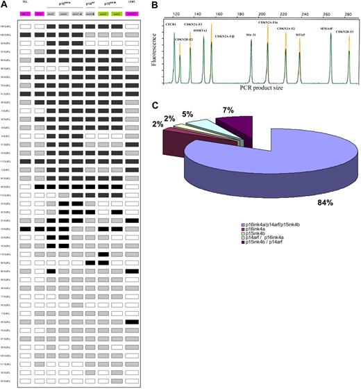 Figure 3. Schematic representation of the 9p21 locus and its genomic alterations detected by a dedicated quantitative QMPSF assay in DLBCL. (A) The molecular organization of the locus is indicated. Abnormal copy numbers are represented by shaded rectangles (gray indicates heterozygous deletion; black, homozygous deletion). (B) Example of an electropherogram obtained with the dedicated 9p21 locus QMPSF assay. (C) Schematic repartition of the deletions involving the 9p21 locus.