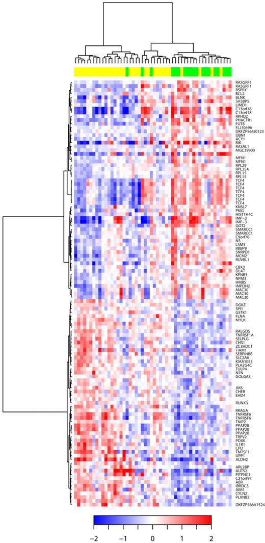 Figure 5. Hierarchic clustering based on the set of mRNA differentially expressed in DLBCL with 9p21 deletion. The relative levels of gene expression of each probe set are depicted according to the color scale shown at the bottom of the heatmap. Each row represents a separate Affymetrix probeset on the microarray, and each column represents a separate lymphoma sample. Green boxes at the top of the columns indicate samples with CDKN2A deletions; yellow boxes, samples without CDKN2A deletions. HUGO genes symbols are listed in the right column.