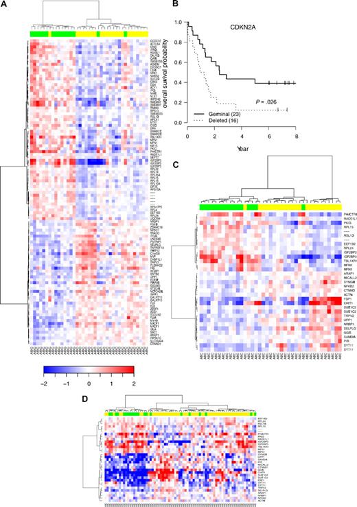 Figure 7. Hierarchic clustering according to CDKN2A genomic status in DLBCL with ABC phenotype and survival. (A) Supervised hierarchic clustering according to CDKN2A status in the activated B-cell (ABC) DLBCL subtype. (B) OS probability in the subgroup of patients with ABC-DLBCL analyzed by Affymetrix U133A. (C) Unsupervised hierarchic clustering according to the expression of 27 genes belonging to the ABC 9p21 signature previously defined from array experiments. (D) Unsupervised hierarchic clustering according to the expression of this set of genes in an independent series of ABC-DLBCL samples.3 Green boxes indicate samples with CDKN2A deletions; yellow boxes, samples without CDKN2A deletions.