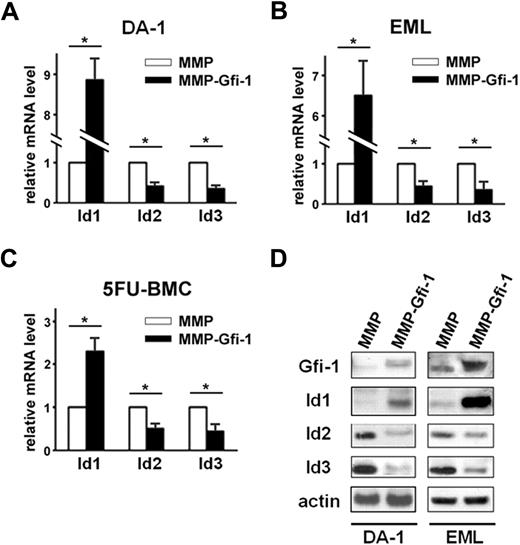 Figure 1. Enforced expression of Gfi-1 induces Id1 expression and suppresses Id2 and Id3 expression. DA-1 cells (A), EML cells (B), and 5FU-BMC (C) were transduced with MMP-Gfi-1 retrovirus or MMP control retrovirus. RNA was harvested from transduced cells and analyzed by real-time qRT-PCR in triplicates. All samples were normalized to GAPDH. *P < .05 in 2-sided t test. Three independent experiments were performed. (D) DA-1 and EML cells were transduced with MMP-Gfi-1 retrovirus or MMP control retrovirus. Whole-cell lysates were harvested from transduced cells and analyzed by Western blot with anti–Gfi-1, anti-Id1, anti-Id2, anti-Id3, or anti-actin antibodies. Three independent experiments were performed.