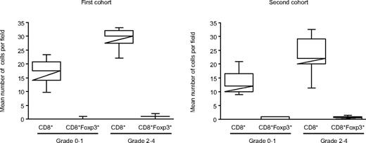 Figure 3. CD8+ and CD8+Foxp3+ cells in duodenal biopsies in the first and second cohorts. Number of CD8+ and CD8+Foxp3+ cells in GVHD patients with grade less than 2 or 2 or more. Although Foxp3 has a central role in Treg development, it is also clear that Foxp3 up-regulation occurs with T-cell activation. Thus, as a control of the specificity, CD8/Foxp3 double staining was performed on the 2 first cohorts. Counts showed that most of the CD8+ cells are not activated in the 2 independent cohorts of patients who underwent duodenal biopsies.