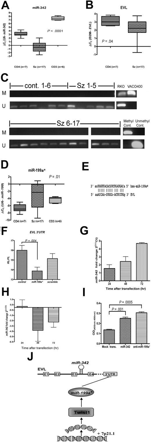 Figure 2. Down-regulation of proapoptotic miR-342 is mediated by miR-199a*, which targets the miR-342-encoding gene EVL. Levels of (A) miR-342 and (B) EVL in SzS samples (n = 17) and CD4+ T-cell (n = 7) and CD3+ T-cell (n = 6) controls measured by qRT-PCR. Data shown as box-whisker plots. (C) CpG-island methylation status of EVL in SzS samples (n = 17) and CD4+ T-cell controls (n = 6) measured by methylation-specific PCR. Universally methylated and unmethylated DNA were used as controls. Colorectal cell lines RKO and VACO400 were methylated and unmethylated, respectively, as previously reported.9 (D) Levels of miR-199a* in SzS samples (n = 17) and CD4+ T-cell (n = 7) and CD3+ T-cell (n = 6) controls measured by qRT-PCR. (E) Predicted binding site for miR-199a* within the 3′UTR sequence of EVL gene. (F) Transfection of miR-199a* in HeLa cell line–suppressed EVL 3′-UTR luciferase reporter activity compared with vector only control or Scramble-miR-199a* sequence. (G) Inhibition of miR-199a* in SeAx cells resulted in increased levels of miR-342 measured by qRT-PCR. Fold change levels shown are relative to Scramble-miR-199a* transfected control (ie, ΔΔCt). (H) Transfection of Jurkat cell line with miR-199a* resulted in decreased levels of miR-342 measured by qRT-PCR. Fold change levels shown are relative to Scramble-miR-199a* transfected control (ie, ΔΔCt). (I) Expression of miR-342 or inhibition of miR-199a* in SeAx cell line resulted in an increase in apoptosis levels compared with mock-transfected control. Values shown are mean values from 3 experiments. (J) Schematic diagram of proposed pathway of miR-342 regulation in SzS.