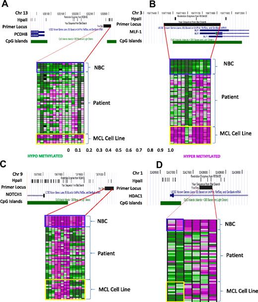 Figure 3. MassArray confirms differential methylation in patients with MCL and MCL cell lines compared with NBC controls. (A-D) Heat maps of MassArray data comparing methylation in patients with MCL, MCL cell lines, and NBC controls at individual CpGs for hypermethylated genes PCDH8 and MLF1 and for hypomethylated genes HDAC1 and CD37. Rows correspond to individual samples, and columns correspond to individual CpGs. The area covered by the primer, HpaII sites, CpG islands, direction of transcription, and gene start are all indicated as tracks in the University of California Santa Cruz Browser. Scale shows relative methylation (green indicates hypomethylation; purple indicates hypermethylation).
