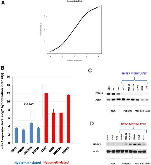 Figure 4. Gene and protein expressions are reciprocal to methylation. (A) Correlation of HELP ratios and mRNA levels in 12 731 genes represented as a quantile-normal plot. Distribution of correlation coefficients shows nonrandom skewing of tails by genes having a high correlation coefficient (R > 0.5) compared with a standard normal distribution. (B) mRNA expression levels from 10 patients with MCL and 10 cell lines plotted as a function of signal intensity. Log 2 hybridization intensity for each probe set represents the relative level of mRNA expression of a gene transcript (y-axis). Hypermethylated loci are color coded in blue, and hypomethylated loci are color coded in red. Error bars indicate SD. (C-D) Western blot for protein expression of HDAC1 and PCDH8 in 3 NBCs, 3 patients, and 3 cell lines (HBL2, MINO, Z138) along with actin as a loading control.