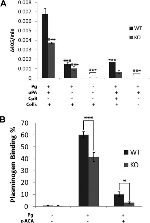Figure 6. Role of S100A10 in macrophage Plg activation and binding. (A) WT and S100A10−/− (KO) macrophages were incubated with or without uPA (50nM) for 10 minutes at room temperature. Cells were washed and incubated with Plg (0.5μM), in the presence or absence of CpB (5 U/mL), followed by addition of the plasmin substrate S2251. The rate of plasmin generation was measured at 405 nm. Statistical analysis was performed by one-way analysis of variance with Tukey multiple comparisons. Data are percentage of specific binding plus or minus SD of 3 independent experiments. (B) WT and KO thioglycollate-elicited macrophages were cultured in the absence of serum for 2 hours before assay. Cells were incubated with 200nM FITC Plg, either with or without ϵ-ACA (100mM), for 1 hour at 4°C in HBSS containing 1mM MgCl2 and 3mM CaCl2. Plg binding was measured by FACS, excluding cells that were positive for propidium iodide. Statistical analysis was performed by Student t test: ***P < .001; *P < .01. Data are Δ405 nm/sec plus or minus SD of 3 independent experiments.