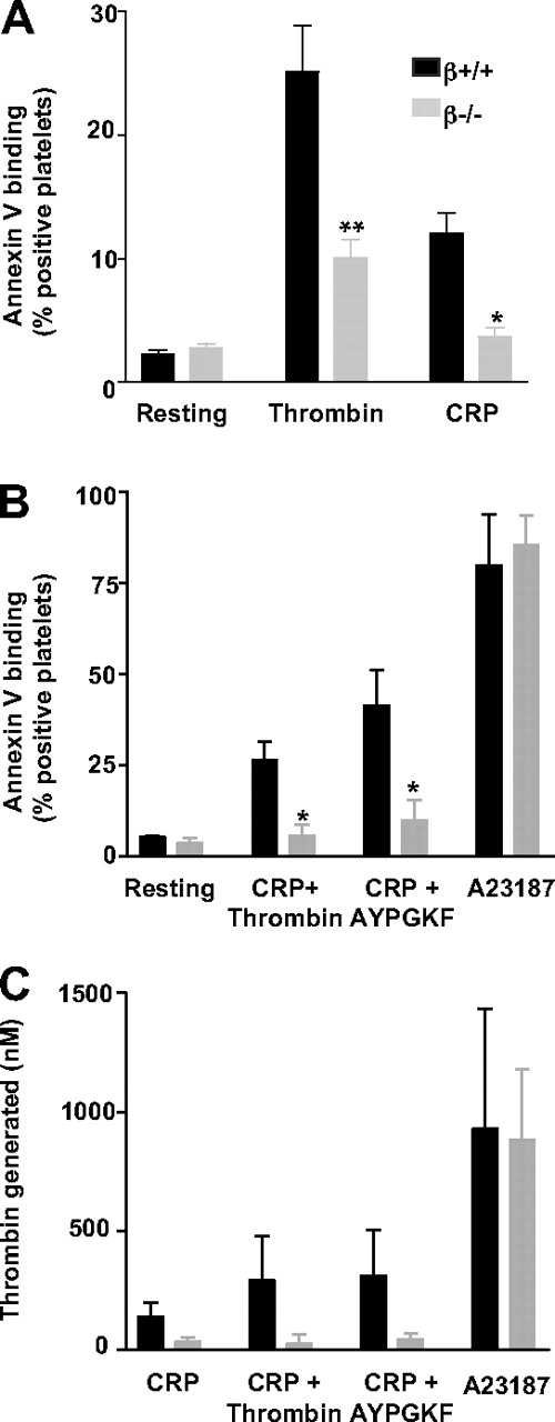 Figure 2. Decreased PS exposure in GPIb-V-IX–deficient platelets after stimulation by single or dual agonists. Binding of annexin V to GPIbβ+/+ and GPIbβ−/− platelets was measured by flow cytometry in resting platelets or after stimulation with (A) thrombin (10nM; n = 9) or CRP (10 μg/mL; n = 3), (B) CRP (50 μg/mL) in combination with thrombin (1nM; n = 3) or PAR4 agonist peptide (AYPGKF, 1mM; n = 3), or the calcium ionophore A23187 (100μM; n = 3). Values represent the mean percentage (± SEM) of annexin V-positive cells. *P < .05 versus WT mice. (C) Prothrombinase activity generated by GPIbβ+/+ and GPIbβ−/− platelets after stimulation with CRP (10 μg/mL; n = 3), CRP (50 μg/mL) in combination with thrombin (1nM; n = 3) or the PAR4 agonist AYPGKF peptide (1mM; n = 3), or A23187 (100μM; n = 3). Thrombin generation, expressed as the total amount of thrombin formed after 15 minutes, was measured by the use of a chromogenic substrate after the addition of FXa, FVa, and prothrombin. The thrombin generated by resting platelets was subtracted, and values are the mean ± SEM.