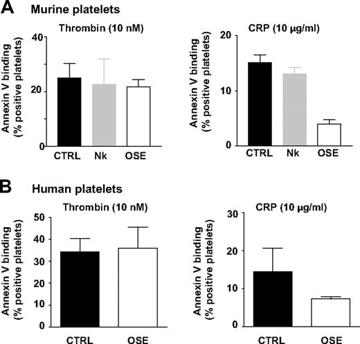 Figure 4. Normal PS exposure in platelets lacking the GPIbα N-terminal domain. Washed platelets from WT mice (A) or washed human platelets (B) were treated as in Figure 3 and assayed for annexin V binding by flow cytometry after stimulation with thrombin (10nM) or CRP (10 μg/mL). Results are expressed as the mean percentage (± SEM) of annexin V-positive platelets and are from 3 to 5 independent experiments.
