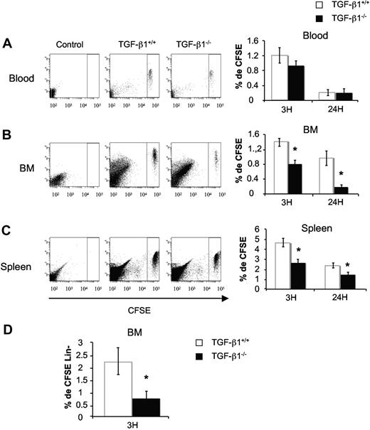 Figure 4. Defect of in vivo homing of BM cells from 8- to 10-day-old TGF-β1−/− mice. Total BM cells from TGF-β1+/+ and TGF-β1−/− mice were stained with CFSE dye as described in “In vivo homing assay.” CFSE+ cells were injected in lethally irradiated mice (15 × 106/mouse). Recipients were killed 3 and 24 hours after injection. Peripheral blood (A), BM (B), and spleen (C) were harvested, and the percentage of homed CFSE+ cells was analyzed by flow cytometry. Shown are flow cytometric profiles for a representative analysis and histograms showing the mean ± SD of 3 independent experiments with 4 mice per experiment (*P < .05). (D) Percentage of CFSE+ Lin− cells in BM. Irradiated mice were injected as above and killed after 3 hours. Cells were stained with antibodies against lineage markers, and CFSE+ Lin− cells were analyzed by flow cytometry. The histogram represents the mean ± SD of 3 independent experiments with 4 mice per experiment; *P < .05.