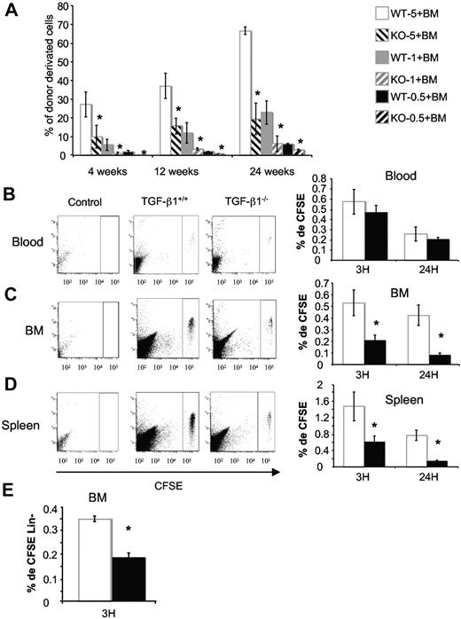 Figure 6. Competitive repopulation assays with TGF-β1−/− E14 FL cells show defects in hematopoietic repopulation. (A) 5 × 106, 1 × 106, 5 × 105 male E14 FL TGF-β1+/+ (wt-5, wt-1, and wt-0.5, respectively) or TGF-β1−/− (KO-5, KO-1, and KO-0.5, respectively) cells were mixed with 1 × 106 female BM cells and transplanted into lethally irradiated CF-1 × Sv129 mice. Graphs represent the percentage of donor-derived cells (percentage of Y) in peripheral blood (PB) of reconstituted mice at 6 weeks, 12 weeks, and 24 weeks after injection (6 mice per group); *P < .05. An example of 2 independent experiments is shown. The contribution of donor-derived cells to each lineage is determined by analyzing the percentage of chromosome Y in the PB of reconstituted mice. (B-D) Total E14 FL cells from TGF-β1+/+ and TGF-β1−/− mice were stained with CFSE dye as described in “In vivo homing assay.” CFSE+ cells were injected in lethally irradiated mice (15 × 106/mouse). Recipients were killed 3 and 24 hours after injection. Peripheral blood (B), BM (C), and spleen (D) were harvested, and the percentage of homed CFSE+ cells was analyzed by flow cytometry. Shown ae flow cytometric profiles for a representative analysis and histograms showing the mean ± SD of 3 independent experiments with 4 mice per experiment (*P < .05). (E) Percentage of CFSE+ Lin− cells in BM. Irradiated mice were injected as above and killed 3 hours after injection. Cells were stained with antibodies against lineage markers, and CFSE+ Lin− cells were analyzed by flow cytometry. The histogram represents the mean ± SD of 3 independent experiments with 4 mice per experiment (*P < .05).
