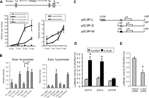 Figure 2. c-Myb activates GATA-3 expression by binding to a canonical site within the GATA-3 exon 1b promoter in naive CD4 T cells under Th2 cell-promoting conditions. (A) Top graphic: GATA-3 promoter locus. Transcription can initiate from either exon 1a or exon 1b. The translational start site begins within exon 2. (Bottom left graph) The amount of exon 1a or exon 1b mRNA, as measured by quantitative RT-PCR, in naive (CD45RO−) or effector/memory (CD45RO+) CD4+ T cells before stimulation (0 day) and 1, 3, and 5 days after Th2 cell-promoting stimulatory conditions. The copy number was calculated for each species using a standard curve for exon 1a or exon 1b. The amount of exon 1a mRNA was adjusted to 1.0 to show the relative copy number. (Bottom right graph) The relative expression of c-myb mRNA in the same cells as the graph on the left. Data are mean ± SD of triplicate determinations. (B) Purified nucleoprotein complex was obtained from CD4+CD45RO− cells cultured under Th1- or Th2-promoting conditions and then used for ChIP assays using either anti–c-Myb (c-Myb) or mouse IgG (mIgG). The precipitated DNA fractions were analyzed by quantitative RT-PCR with primers specific to the GATA-3 upstream exon 1a (right graph) or downstream exon 1b (left graph) promoter region. *P < .05 compared with the value of murine (m) IgG. (C) Reporter constructs used for promoter analysis. Numbers represent nucleotides referenced relative to the start of transcription (arrow) from exon 1b. Gray circle represents c-Myb binding site; and black circle, mutated c-Myb binding site. (D) Dual-Luciferase reporter assays were performed in human peripheral T cells 24 hours after cotransfection with each of the pGL3–GATA-3 promoter constructs, and either a c-Myb expression construct (c-myb) or an empty plasmid (control). T cells were stimulated with CD3/CD28 antibodies, IL-2, and IL-4 for 8 hours before the cells were collected. Data are representative of 5 independent determinations. (E) The siRNA against c-Myb or control siRNA were cotransfected with the pGL3–GATA-3 promoter construct into human primary T cells. Dual-Luciferase reporter assays were performed 24 hours after the transfection. Data are representative of at least 2 independent experiments. *P < .05.
