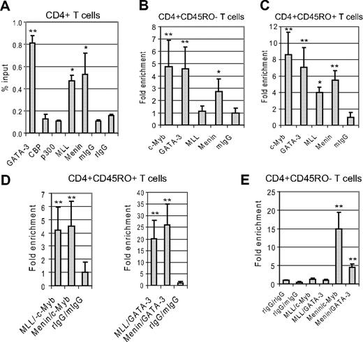 Figure 6. c-Myb, GATA-3, and Menin bind to GATA-3's minimal promoter in CD4+ naive cells under Th2 cell-promoting conditions, whereas MLL binds the same promoter region in a complex with c-Myb, GATA-3, and Menin in CD4+ effector/memory cells.(A) Purified nucleoprotein complex was obtained from primary human whole CD4+ cells after the stimulation with IL-4, IL-2, and antibodies against CD3/CD28 for 3 days. ChIP assays were carried out with GATA-3, CBP, p300, MLL1, and Menin antibodies and mouse IgG (mIgG) or rabbit IgG (rIgG). The precipitated DNA fractions were analyzed by quantitative RT-PCR with primers specific to the GATA-3 downstream minimal promoter region. (B) ChIP assays were performed with primary human CD4+ CD45RO− (naive) cells after stimulation with IL-4, IL-2, and antibodies against CD3/CD28. (C) ChIP assays were carried out with primary human CD4+ CD45RO+ (effector/memory) cells after a 3-day stimulation with IL-4, IL-2, and antibodies against CD3/CD28. (D-E) Re-ChIP assays were carried out with human CD4+ CD45RO+ (D) or CD4+ CD45RO− (E); cells stimulated as described in panel C. The first ChIP assays were performed with antibodies against MLL or Menin. The second ChIP (Re-ChIP) assays were done with antibodies against c-Myb or GATA-3. Controls for the Re-ChIP assay were performed with antirabbit IgG (rIgG) and antimouse IgG (mIgG) antibodies. Data are representative of at least 2 independent experiments. *P < .05. **P < .01.