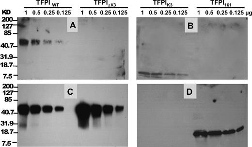 Figure 5. Ligand blotting of PS and FXa to TFPI. TFPI proteins were electrophoresed on 12% SDS-PAGE gel and transferred to a nitrocellulose membrane. The amount of each protein that was electrophoresed and blotted is labeled at the top. (A-B) Binding of PS to TFPI. PS was used to probe the membrane, and the bound PS was detected by an anti-PS polyclonal antibody as described in “Ligand and Western blotting.” (C-D) Binding of FXa to TFPI. After PS detection in panels A and B, the membranes were stripped with 0.1mM glycine, pH 2.2, and reprobed with FXa. The bound FXa was then detected using a goat anti-FX polyclonal antibody as described in “Ligand and Western blotting.” The positions of molecular weight markers are indicated on the left.