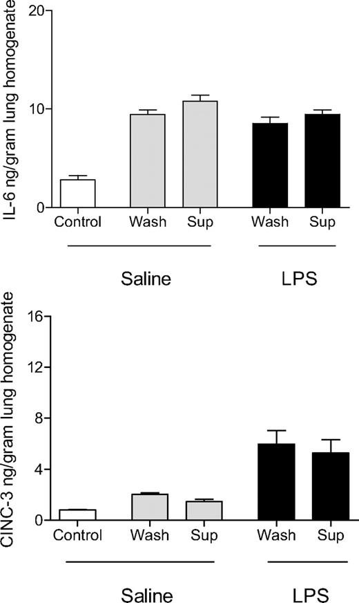 Figure 5. Effect of washing of aged platelets before transfusion on cytokine and chemokine concentrations in the lungs. Concentrations of IL-6 and CINC-3 in the lung homogenate of animals receiving saline or LPS as first hit and subsequently infusion of saline (control), supernatant (sup) of aged PLT products, or washed (wash) aged platelets. Data are presented as mean ± SEM. No differences are seen between supernatant of aged PLT products and washed aged platelets on lung inflammation in both saline and LPS-pretreated animals.