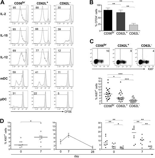 Figure 1. Proliferative ability of NK-cell subsets in vitro and in vivo after YFVvaccination. (A-B) Analysis of in vitro proliferation of natural killer (NK)–cell subsets (CD56bright, CD56dim CD62L+, and CD56dim CD62L− cells) was measured by CFSE dilution after 5 days of stimulation with either 50 ng/mL interleukin-2 (IL-2), IL-15, or IL-12, with myeloid dendritic cells (mDCs) in the presence of 100 ng/mL lipopolysaccharide and 10 μg/mL R848 or with plasmacytoid DC plus 10 μg/mL R848, 10 μg/mL CpG-A, and 10 ng/mL IL-3. (A) Representative data of 10 independent experiments is shown. Stimulated (open histograms) and unstimulated (gray-filled histograms) cells as well as the percentage of proliferating cells are depicted for each condition. (B) Mean percentage ± SEM of proliferating cells after high dose of IL-2 stimulation of 10 independent experiments is shown. P was calculated by Wilcoxon test. (C-D) In vivo proliferation of NK-cell subsets was measured by Ki67 staining of peripheral blood mononuclear cells (PBMCs) derived from healthy donors. (C) One representative donor (top panel) and percentage of Ki67+ cells plus corresponding medians of 22 donors analyzed ex vivo (bottom panel) are shown. (D) Ki67 expression was analyzed directly before (day 0), or after yellow fever virus (YFV) vaccination (days 7 and 28). Analysis was performed after gating on total CD3− CD56+ NK cells (left and middle) or on CD56bright (●), CD56dim CD62L+ () and CD56dim CD62L− (, right). Percentage of Ki67+ cells of 8 donors and corresponding median values (left and right graphs) or mean percentage ± SEM of Ki67+ cells of 3 donors (middle) are depicted. *P < .05; **P < .01; ***P < .0001 as calculated by Wilcoxon test.