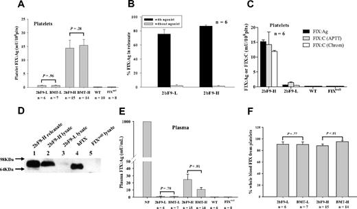 Figure 2. Characterization of FIX in 2bF9 transgenic mice and BMT recipients. (A) Quantitative evaluation of human FIX:Ag levels in mouse platelets. FIX:Ag was detected in platelet lysates from 2bF9 mice and BMT recipients. BMT-L indicates FIXnull mice that received 2bF9-L BM; BMT-H, FIXnull mice that received 2bF9-H BM; and WT, wild-type mice. (B) Platelet FIX was released from 2bF9-L and 2bF9-H mice by platelet agonist activation. (C) Comparison of platelet FIX:C with FIX:Ag level in 2bF9-L and 2bF9-H mice. FIX:C were measured by APTT assay and chromogenic assay (Chrom). Platelets from WT and FIXnull mice were used as negative controls. (D) Western blot of FIX in platelet releasate and lysates. Lane 1 indicates releasate of stimulated platelets from 2bF9-H mice; lane 2, platelet lysate of 2bF9-H mice; lane 3, platelet lysate of 2bF9-L mice; lane 4, FIX from normal human plasma (Haematologic Technologies) as a control; and lane 5, platelet lysate from FIXnull mice. (E) Quantitative evaluation of FIX:Ag levels in mouse plasma. FIX:Ag was detected in both 2bF9 and BMT recipient plasma. (F) Platelet FIX:Ag as a percentage of whole blood FIX:Ag in 2bF9 and BMT mice. These results demonstrate that FIX was detected in 2bF9 transgenic platelets and is releasable.