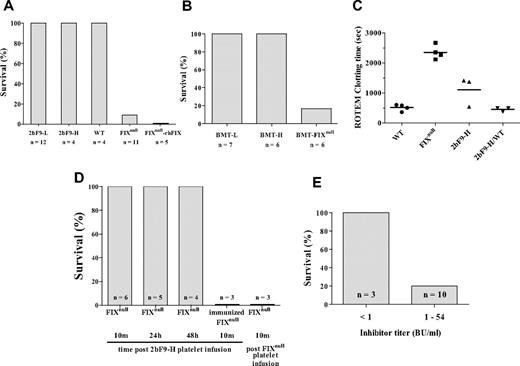 Figure 5. Phenotypic correction of hemophilia B mice. (A) All 2bF9-L and 2bF9-H mice survived the tail clip test. FIXnull-rhFIX are FIXnull mice infused with 1.6% rhFIX (BeneFIX) intravenously. (B) All BMT-L and BMT-H mice survived the tail clip test. BMT-FIXnull are FIXnull mice that received BMT from FIXnull mice as a control. (C) ROTEM clotting time of whole blood. 2bF9-H/WT indicates 2bF9-H mice on wild-type background. Bars represent the mean in each group. Clotting times were significantly decreased in 2bF9-H compared with FIXnull mice (P < .01). No difference was found between WT and 2bF9-H/WT (P = .46). (D) Washed mouse platelets were transfused into FIXnull mice to attain the level of 30% of total recipient platelets. Tail clippings were performed at 10 minutes (10m), 24 hours (24h), and 48 hours (48h) after 2bF9-H platelet infusion. 2bF9-H platelets were also infused into rhFIX-immunized FIXnull mice (immunized FIXnull), which had developed anti-FIX inhibitors ranging from 2 to 12 BU/mL. FIXnull platelets were infused into FIXnull mice (FIXnull platelet infusion) as a control. For the latter 2 groups, tail clippings were performed 10 minutes after infusion. No mice survived in these 2 groups. (E) 2bF9-H mice that received splenocytes from immunized FIXnull mice and had developed FIX inhibitory antibodies were challenged with tail clipping. Splenocyte-transplanted mice with inhibitor titers less than 1 BU/mL were used as controls. Only 2 of 10 mice that maintained inhibitors higher than 1 BU/mL survived tail clipping. These results demonstrate that platelet-derived FIX improved hemostasis in hemophilia B mice but is less effective in mice with anti-FIX inhibitory antibodies.