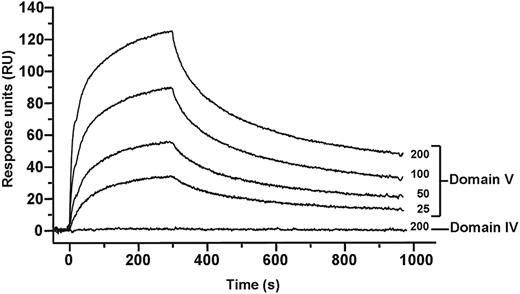 Figure 6. Binding analysis of domains I, IV, and V of β2GPI. Binding of domain I to domains IV and V was investigated with surface plasmon resonance. Domain I of β2GPI (150 RU) was immobilized to a CM5 sensor chip, and increasing concentrations (25-200nM) of domain IV or domain V were applied to the chip. Binding of domain V to domain I in a concentration-dependent manner was observed. No detectable interaction could be observed between domain IV and domain I.