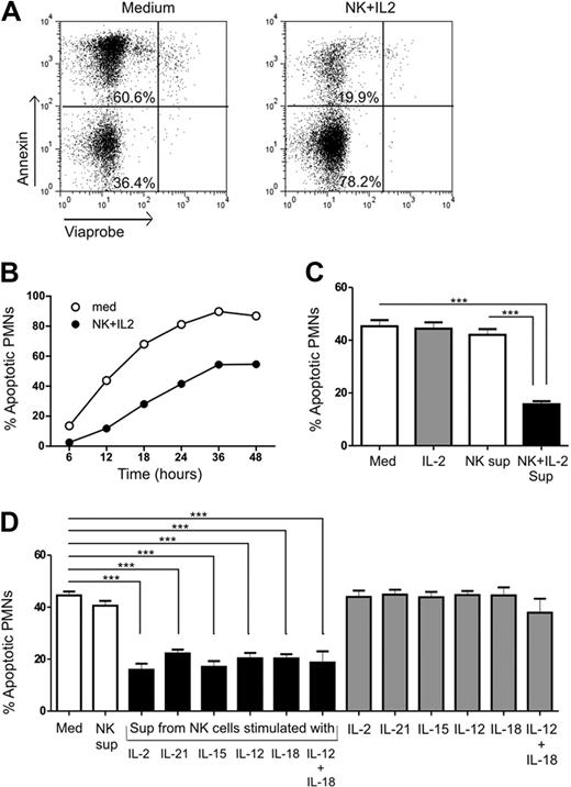 Figure 1. Evaluation of PMN apoptosis in the presence of cytokine-activated NK-cell supernatant. (A) PMNs were cultured in the absence (Med) or presence (NK + IL-2) of IL-2–activated NK-cell supernatant, and stained with annexin and viaprobe to determine apoptosis. Annexin+viaprobe− cells (top left quadrant) were defined as apoptotic and annexin−viaprobe− cells (bottom left quadrant) as living. (B) The percentage of apoptotic PMNs was determined at different time points in the absence (Med) or presence (NK + IL-2) of IL-2–activated NK-cell supernatant (n= 1). The data points represent the percentage of apoptotic PMNs when cultured alone or with supernatants from cytokine-activated NK cells. (C) Quantitative representation of the percentage of apoptotic PMNs when cultured alone (Med) or with supernatants from unstimulated (NK sup) or IL-2–activated (NK + IL-2 sup) NK cells for 18-24 hours, from 24 individual experiments totally. (D) PMNs cultured with supernatants from NK cells stimulated with IL-2, IL-21, IL-15, IL-12, IL-18, or a combination of IL-12 plus IL-18 compared with control medium (Med) and PMNs treated with cytokines alone (n= 5). The results are expressed as mean ± SEM. ***P < .001.