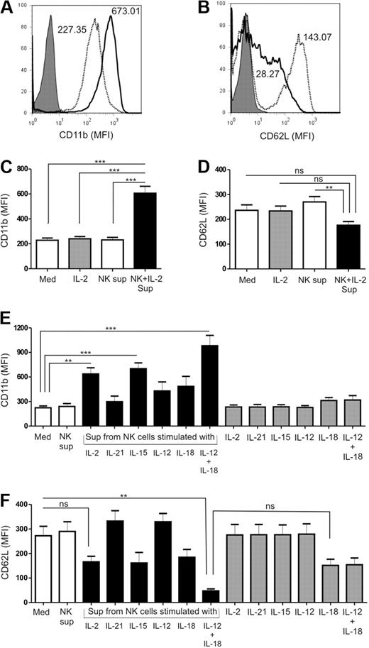Figure 2. Expression of activation markers on PMNs when cultured with supernatants from cytokine-activated NK cells. Representative histograms of (A) CD11b and (B) CD62L expression on PMNs when cultured in the absence (dotted profile) or presence (solid profile) of cytokine-activated NK-cell supernatant. Matched isotype controls are shown by the shaded profile. Mean fluorescence intensity (MFI) is indicated. Quantitative representation of the mean fluorescence intensity of (C) CD11b and (D) CD62L on the surface of PMNs when cultured alone (Med) or with supernatants from unstimulated (NK sup) or IL-2–activated (NK + IL-2 sup) NK cells for 18 to 24 hours, from 24 individual experiments. Evaluation of (E) CD11b and (F) CD62L surface expression on PMNs when cultured with supernatants from NK cells stimulated with IL-2, IL-21, IL-15, IL-12, IL-18, or a combination of IL-12 plus IL-18 compared with control medium (Med) and PMNs treated with cytokines alone (n= 5). The results are expressed as mean ± SEM. **P < .01; ***P < .001.