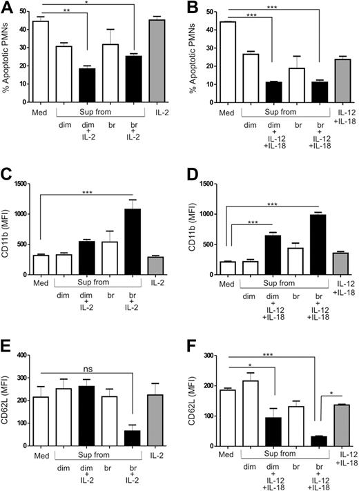 Figure 4. Effect of cytokine-activated, sorted NK-cell subsets on PMN survival and activation. CD56dim (dim) and CD56bright (br) NK cells were sorted by FACS and stimulated with either IL-2 or a combination of IL-12 and IL-18. PMNs were then cultured in the absence or presence of supernatants from unstimulated or cytokine-activated and sorted NK-cell subsets for 18 to 24 hours and compared with control medium (Med) and PMNs treated with cytokines alone. The percentage of apoptotic PMNs cultured in the absence or presence of supernatants from (A) IL-2 (n= 4) or (B) IL-12 plus IL-18 (n= 4) activated CD56dim and CD56bright NK cells. Evaluation of CD11b surface expression on PMNs in the absence or presence of (C) IL-2 (n= 4) or (D) IL-12 plus IL-18 (n= 4) activated CD56dim and CD56bright NK-cell supernatants. Expression of CD62L on the surface of PMNs when cultured in the absence (Med) or presence of (E) IL-2 (n= 4) or (F) IL-12 plus IL-18 (n= 4) activated CD56dim and CD56bright NK-cell supernatants. Results are expressed as mean ± SEM. *P < .05; **P < .01; ***P < .001.